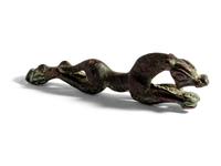 A Eurasian Bronze Panther