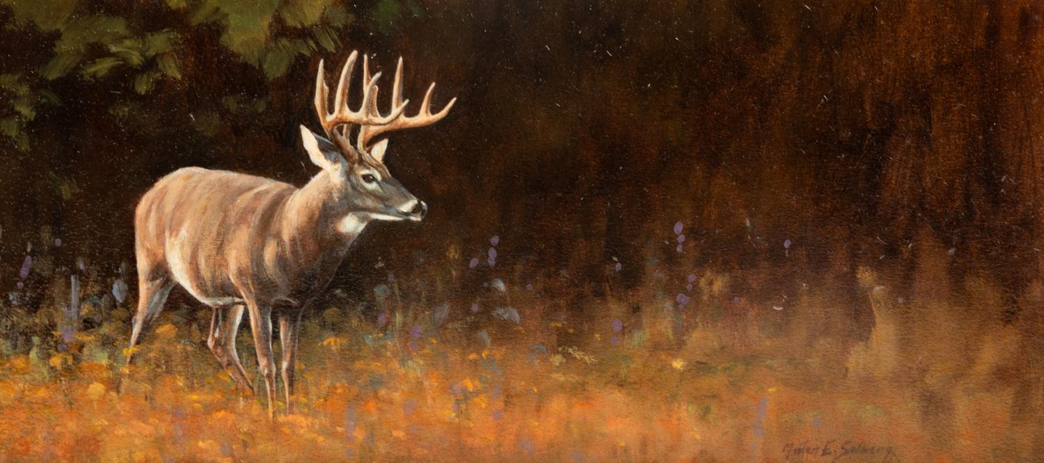 White Tailed Deer , 2007