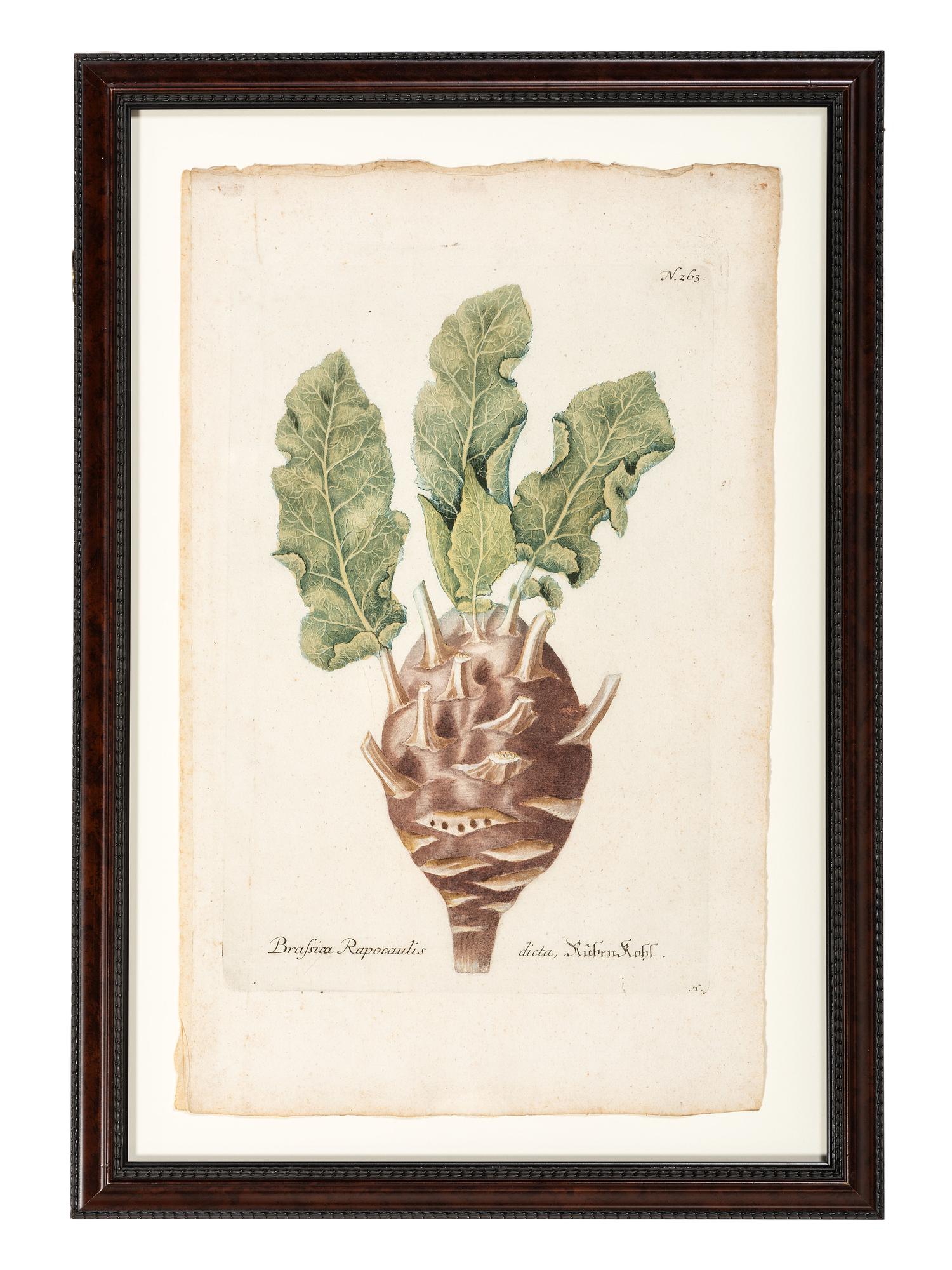 Nine Vegetable Aquatints