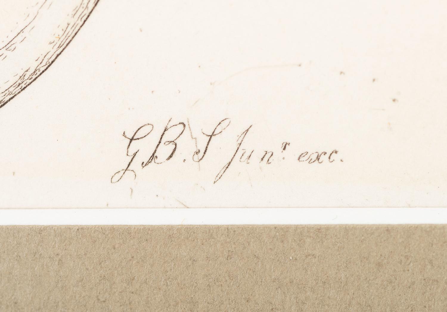 Thirteen Hand-Colored Shell Engravings