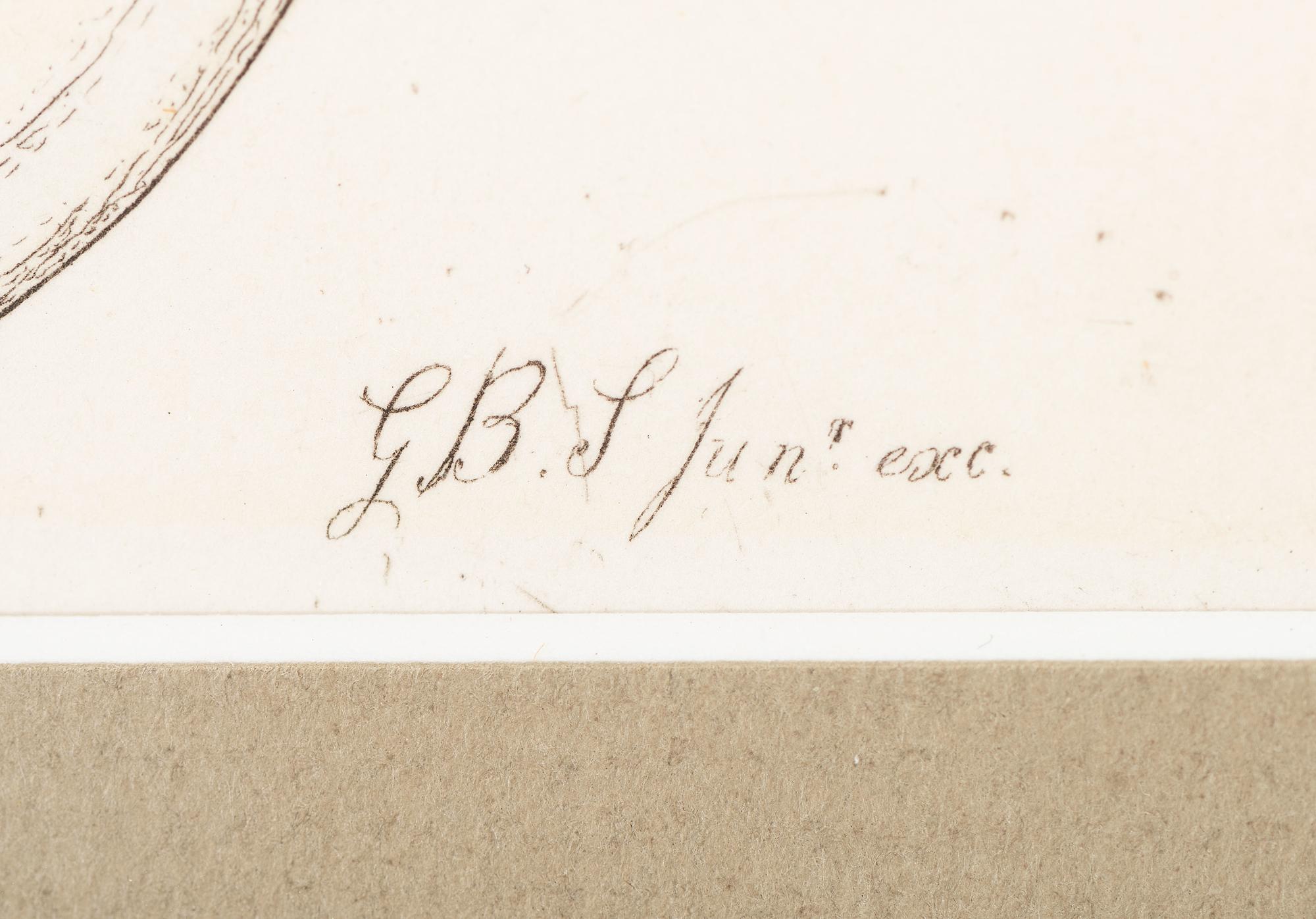 Thirteen Hand-Colored Shell Engravings