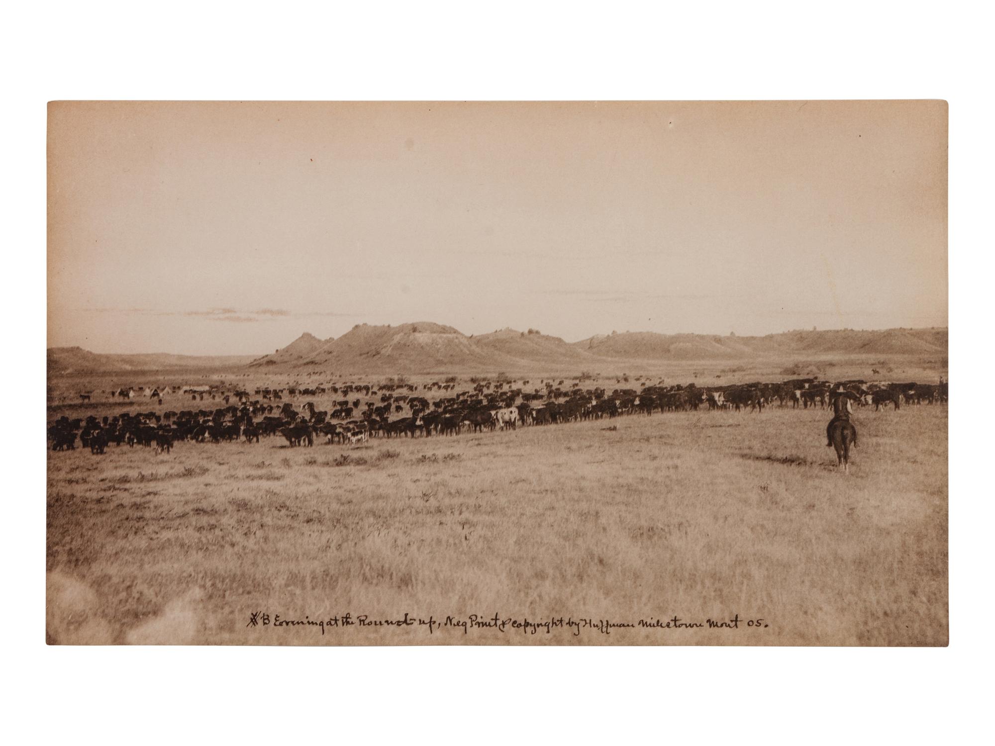 Group of Four Photographs