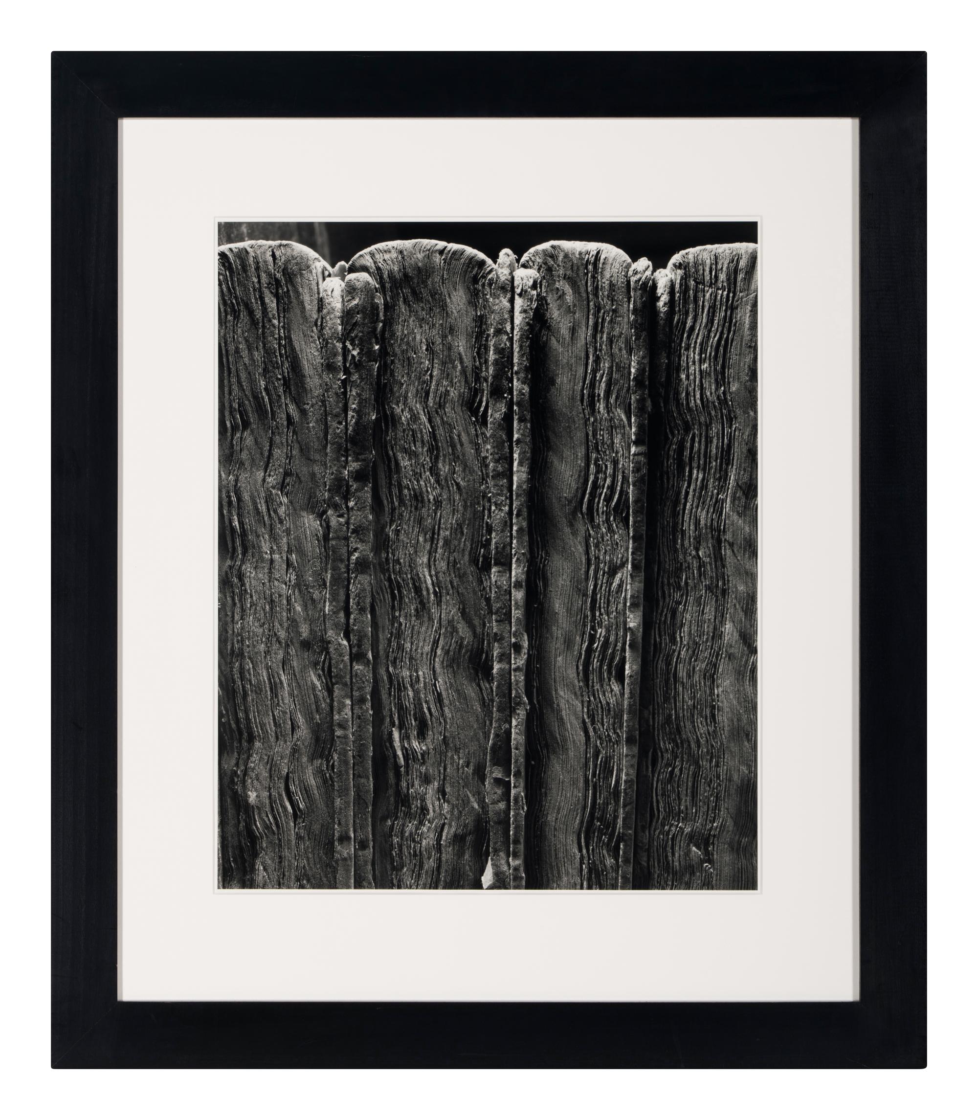 Four Old Books , 1995