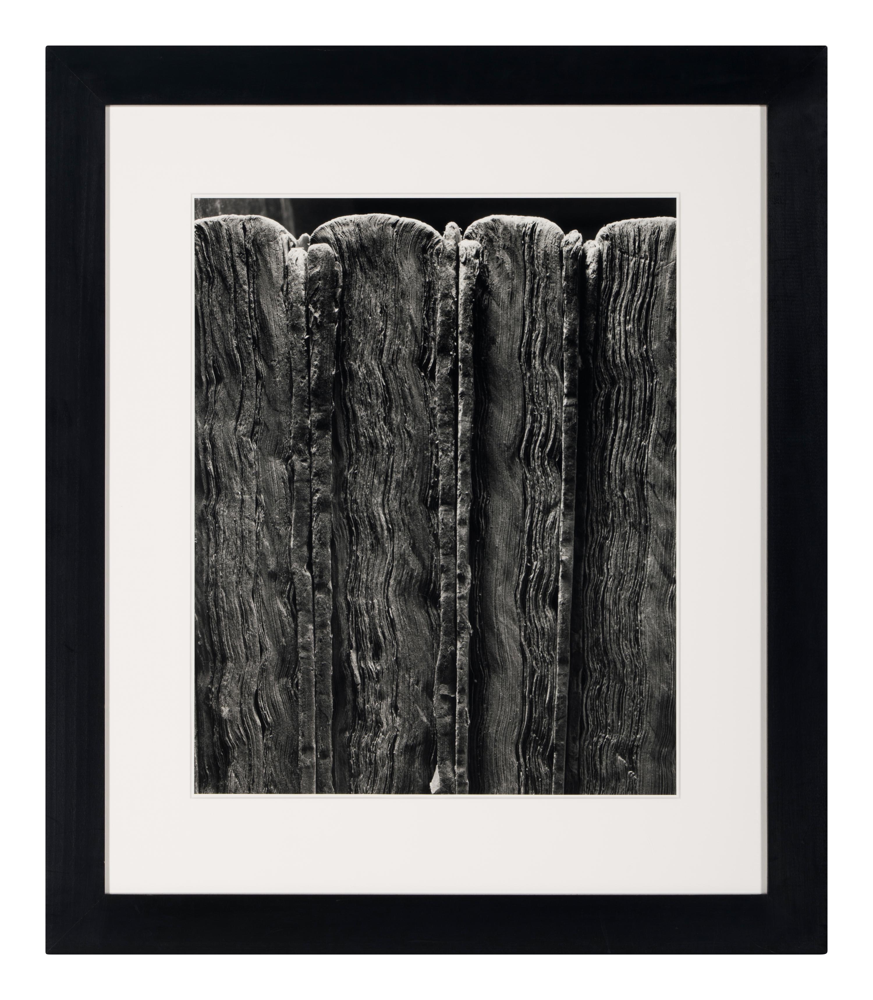 Four Old Books , 1995