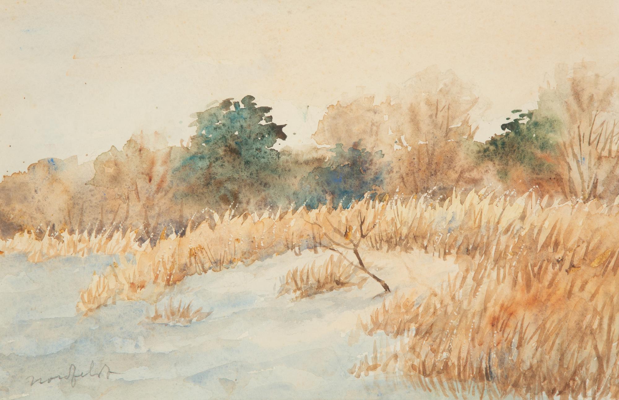 Snowy Meadow