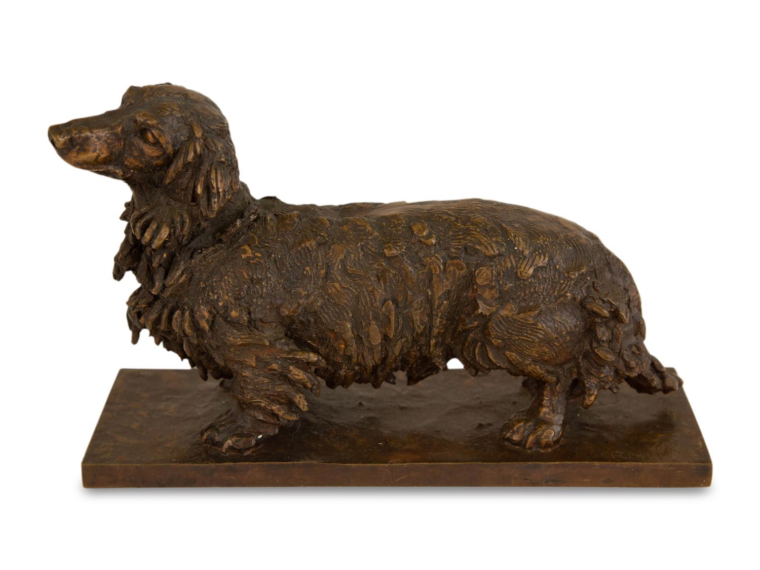 Dachshund