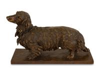 Dachshund