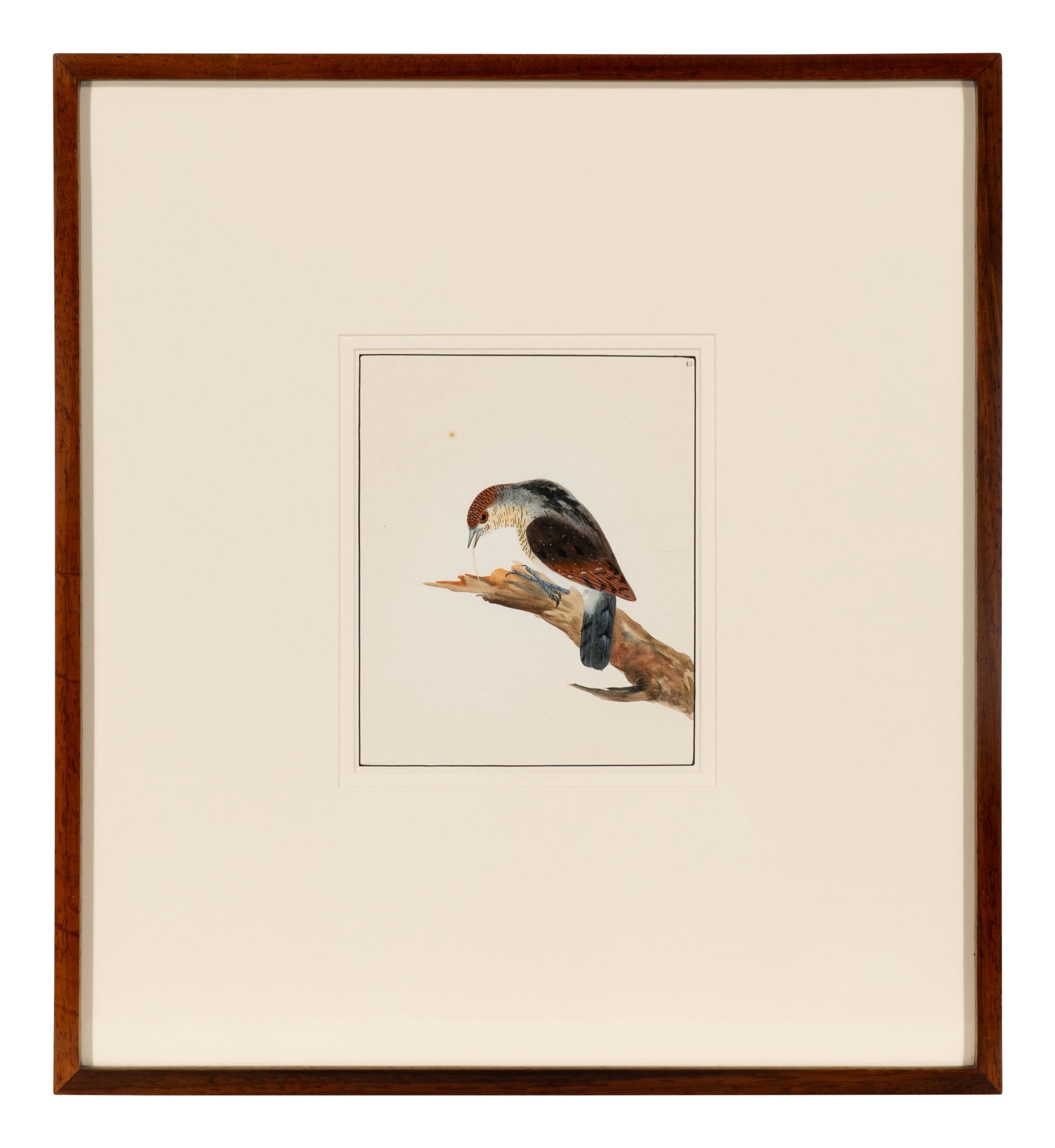 Six Bird Portraits