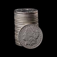 A Group of Twenty Morgan $1 Coins
