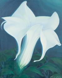 White Lily