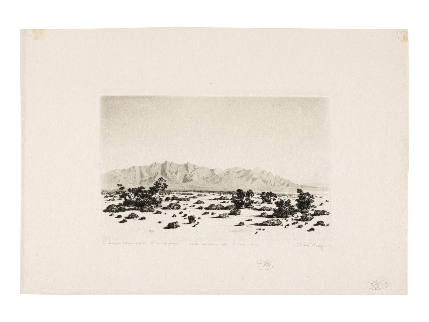 Two Works: Barrel Cactus, Arizona and Santa Catalina Mts, Tuscon, Arizona