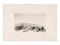 Two Works: Barrel Cactus, Arizona and Santa Catalina Mts, Tuscon, Arizona