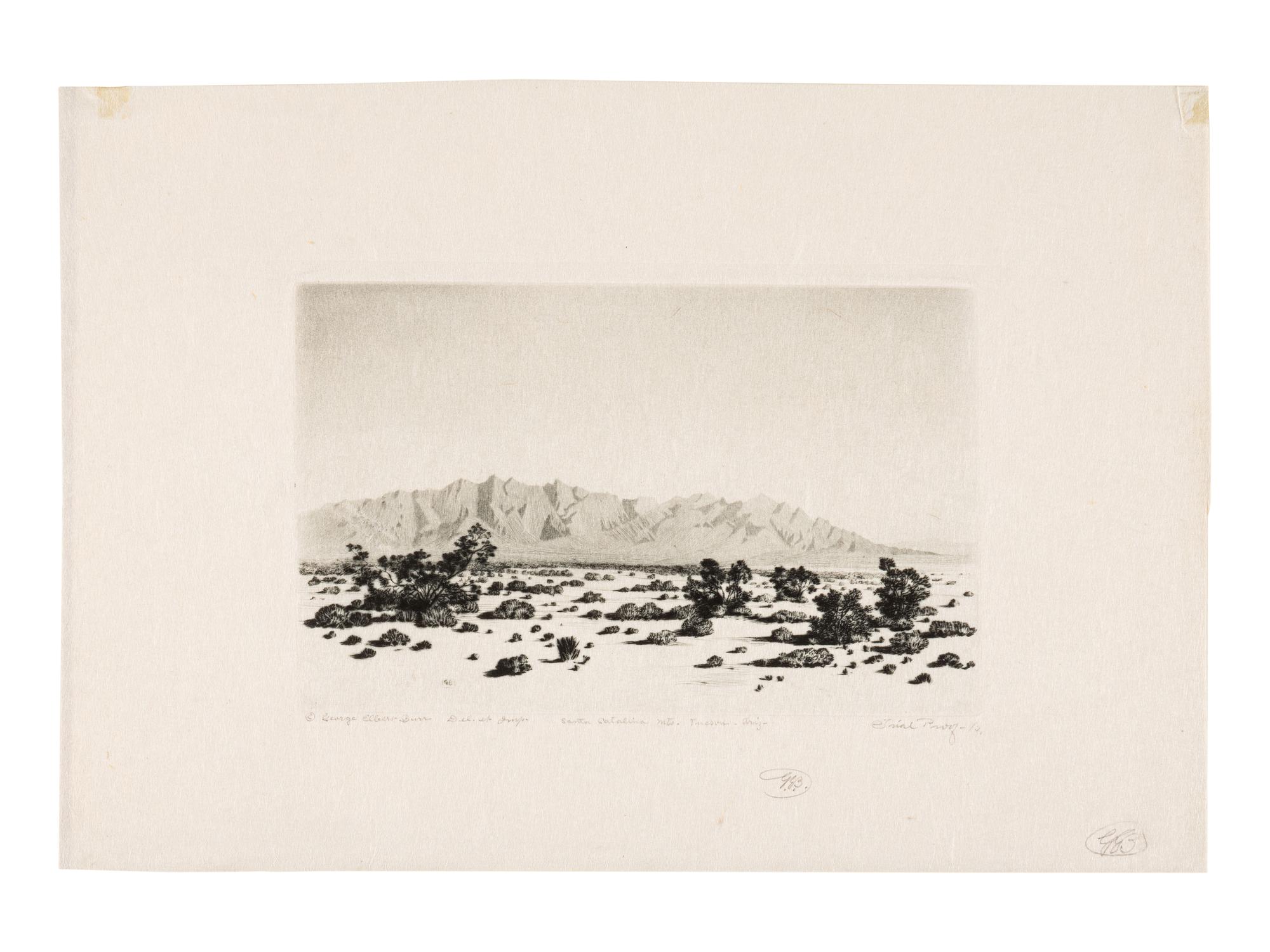 Two Works: Barrel Cactus, Arizona and Santa Catalina Mts, Tuscon, Arizona