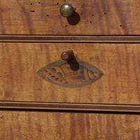 A Federal Eagle Inlaid Cherry and Maple Slant-Front Desk