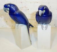 A Pair of Royal Copenhagen Parrots. Height 16 1/4 inches.