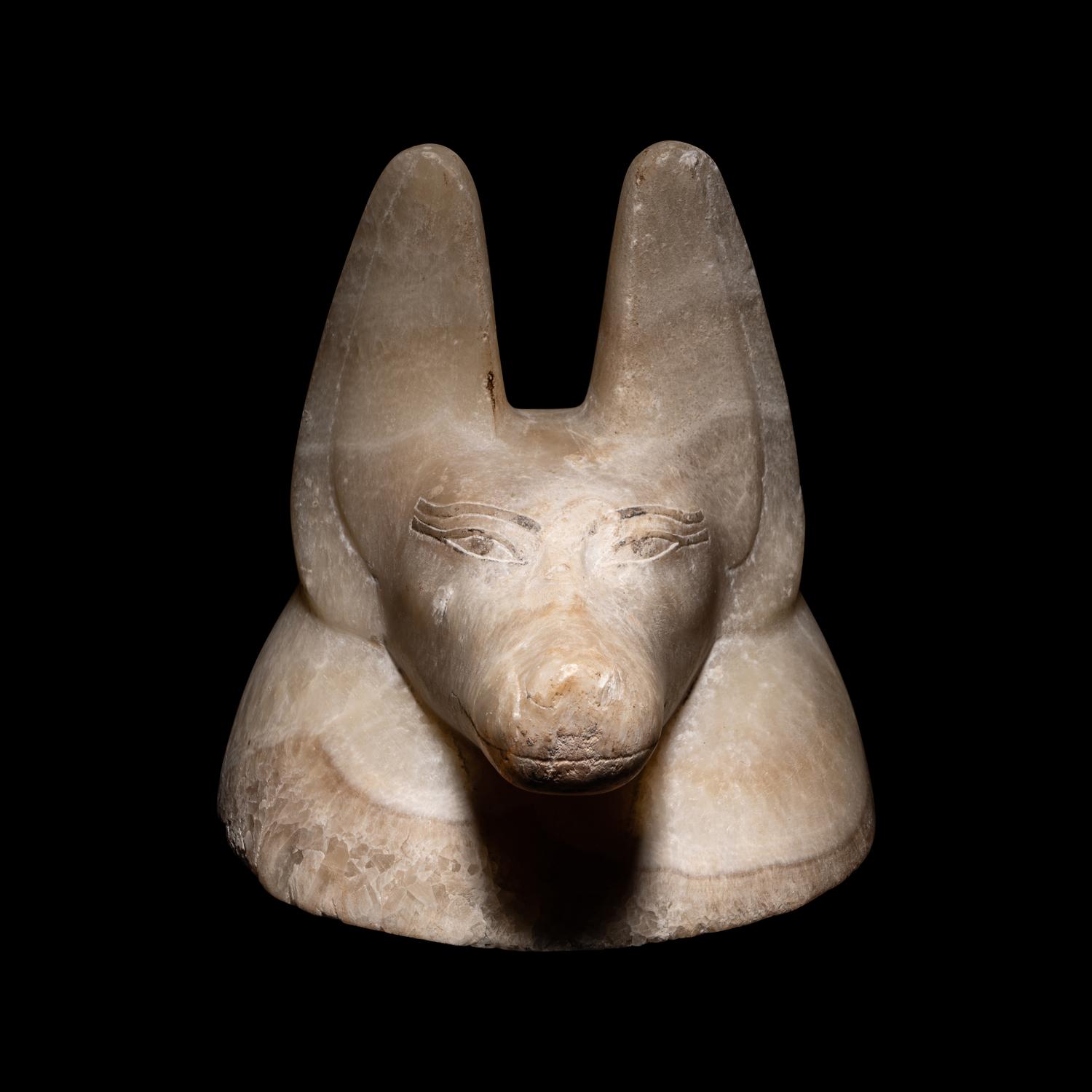 An Egyptian Alabaster Head of a Jackal