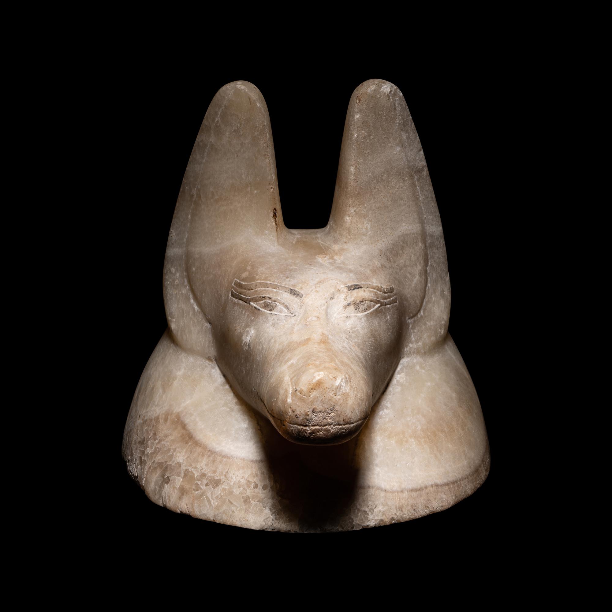 An Egyptian Alabaster Head of a Jackal