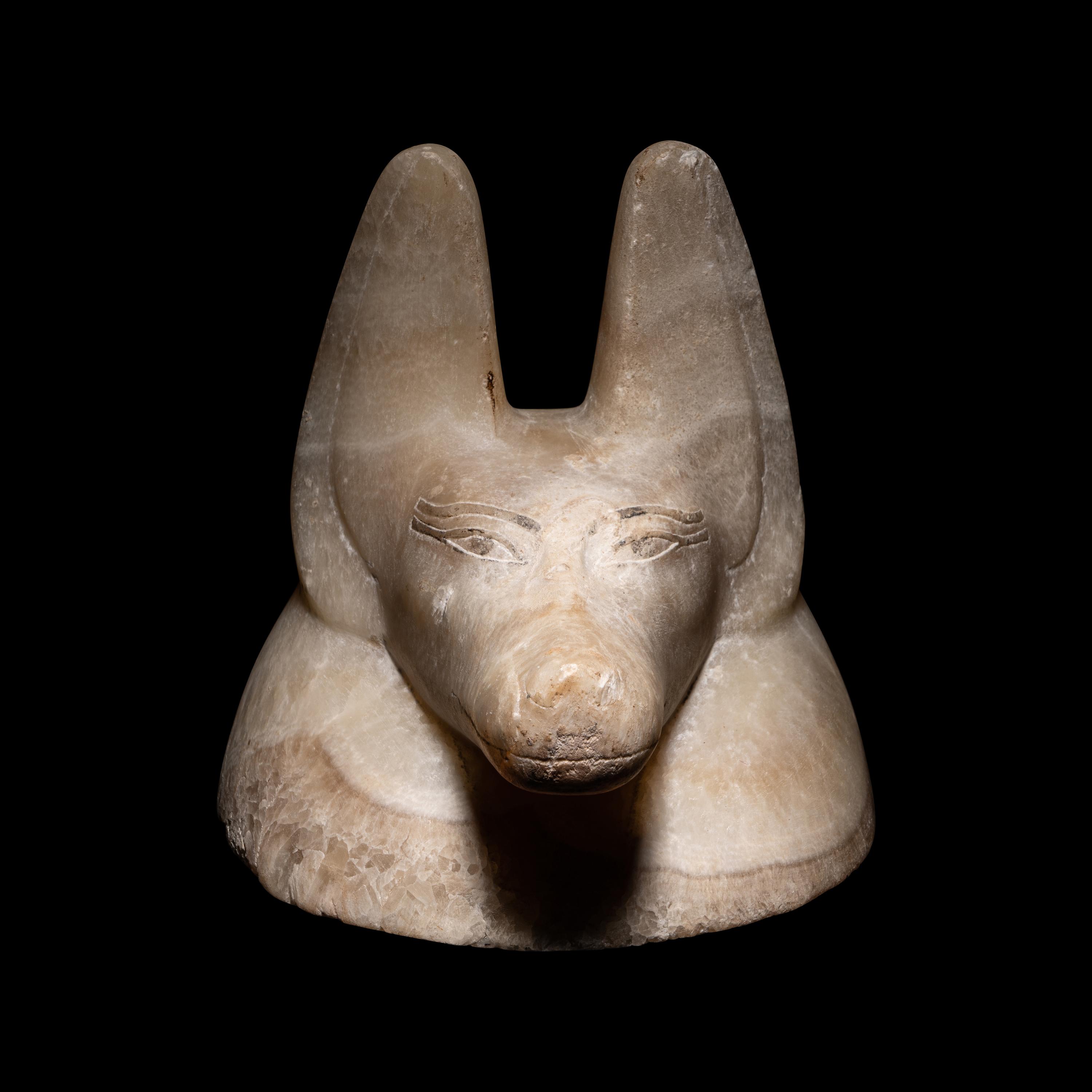 An Egyptian Alabaster Head of a Jackal