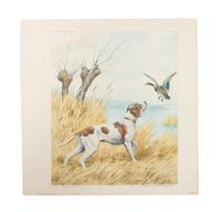 Eleven Hand Colored Dog Prints Height 71/2 x 9 inches — 19TH/20TH CENTURY