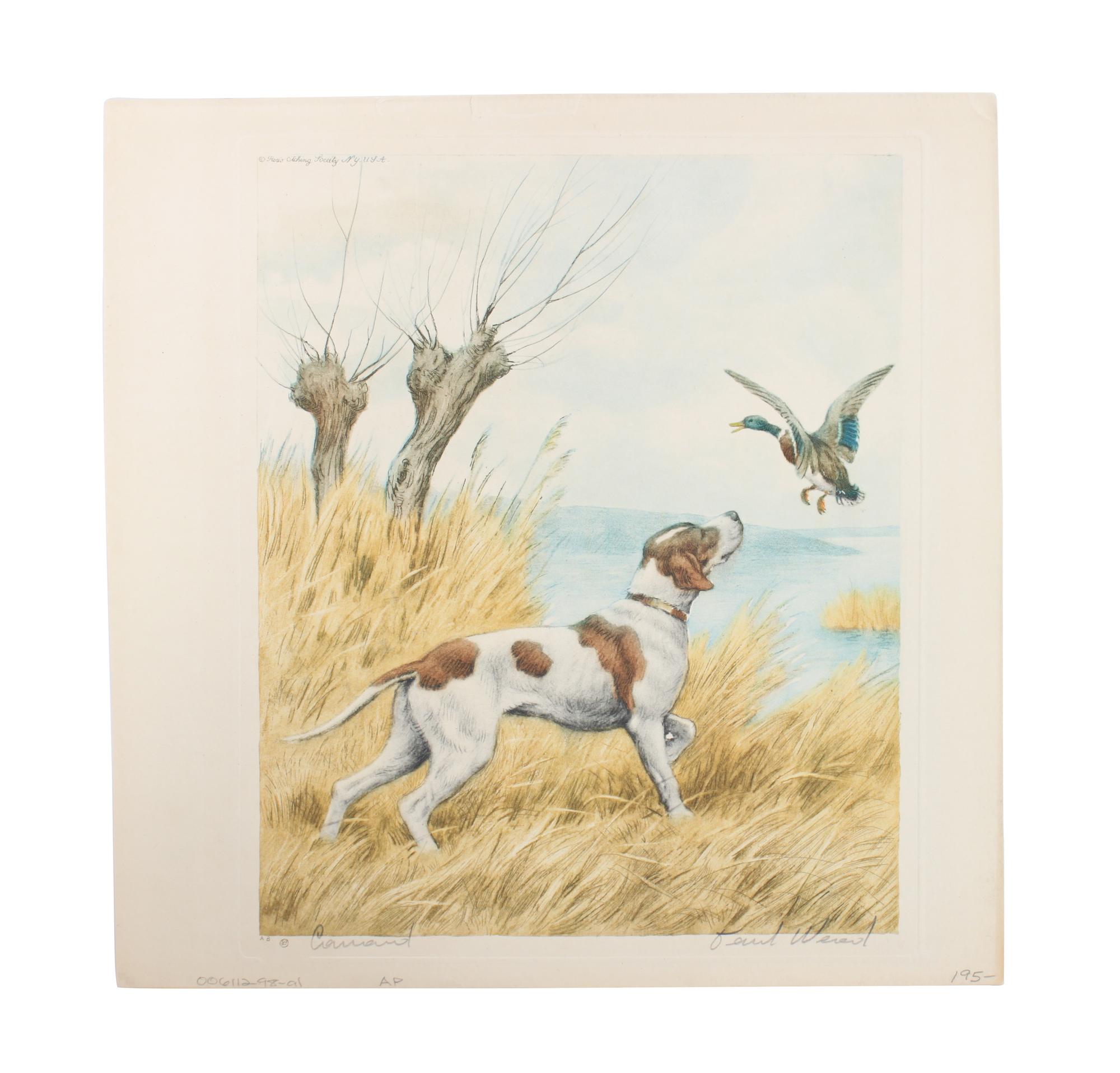 Eleven Hand Colored Dog Prints Height 71/2 x 9 inches — 19TH/20TH CENTURY