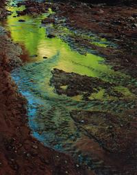 Glen Canyon (complete portfolio of 10)