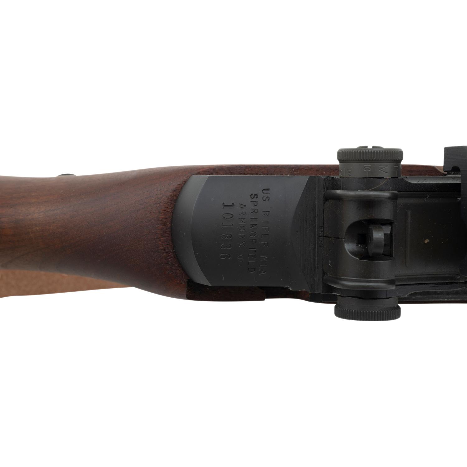 *Springfield Armory M1A