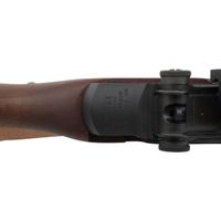 *Springfield Armory M1A