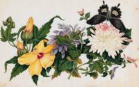 A Set of Twelve Chinese Export Watercolor and Pith Botanical Paintings
