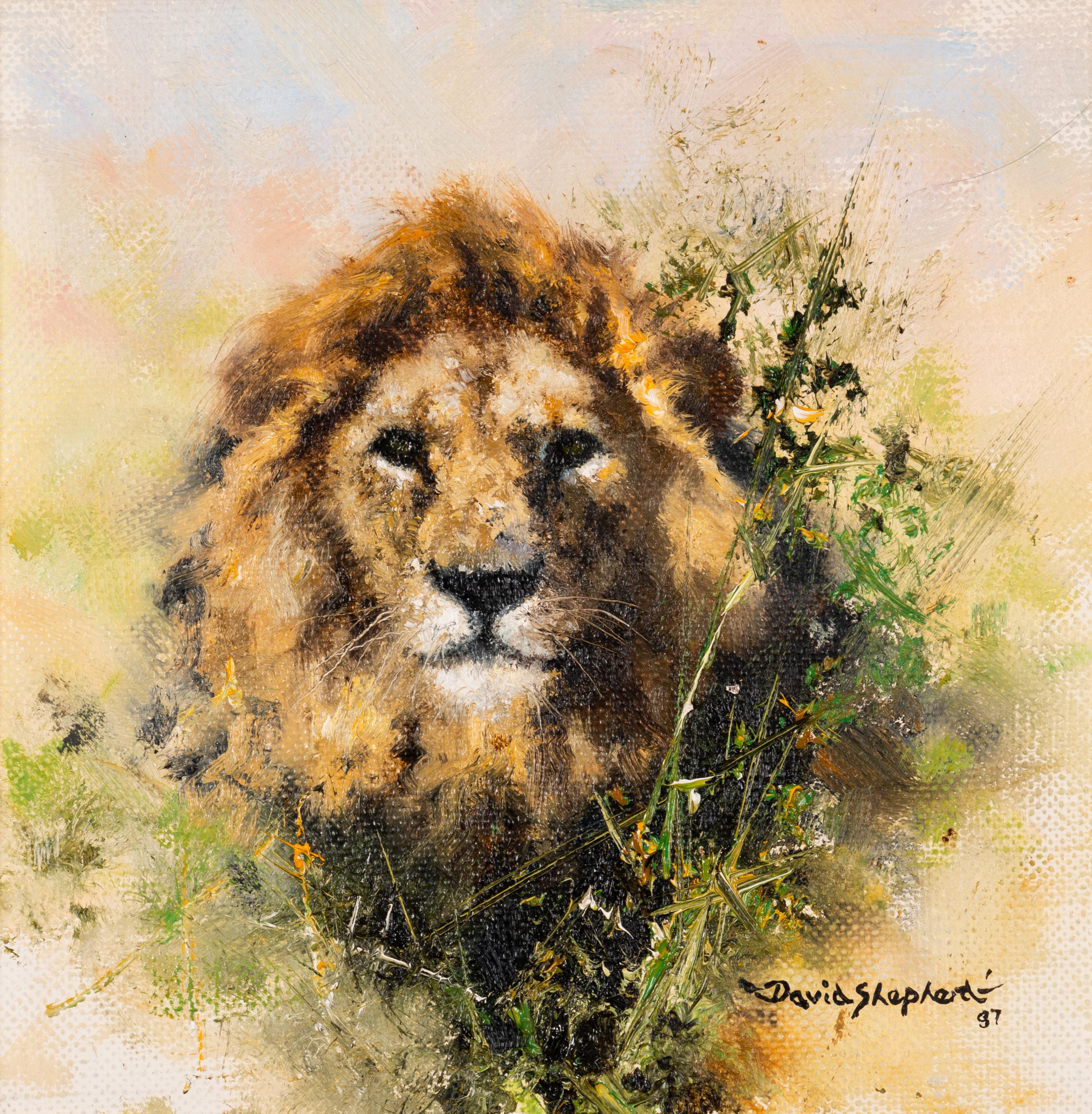 Lion