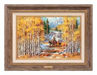 Autumn In The High Country