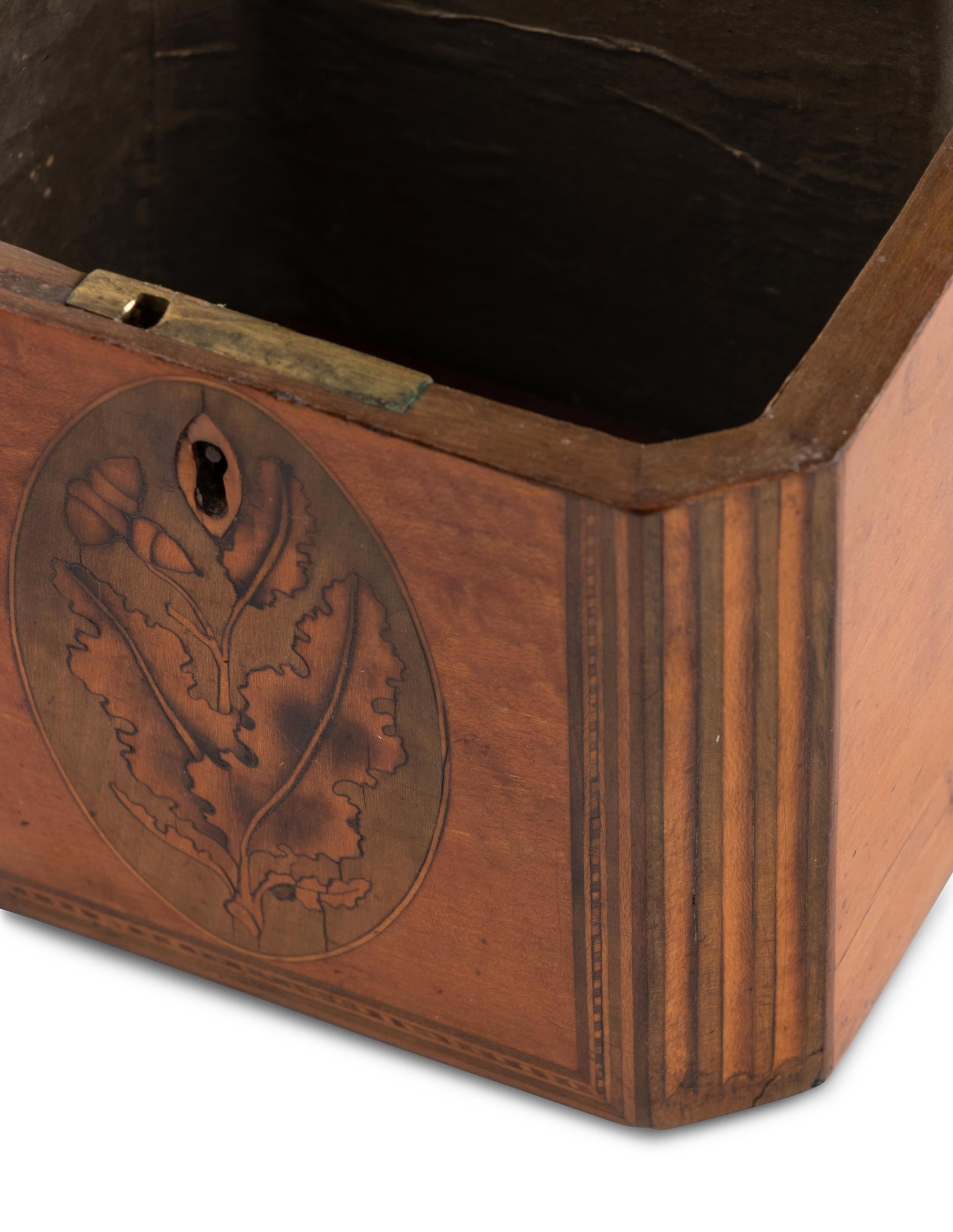 A Group of Three George III Harewood and Marquetry Tea Caddies