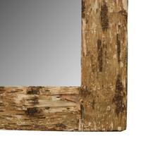 A Birch Bark Frame with Mirror 27" W x 1" D x 30" H — United States, Circa 1920