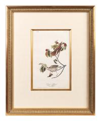 The Birds of America, Royal Octavo Edition, Bowen Edition