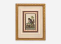A set of six hand-colored engravings of various primates, published by John Wilkes (d. 1811), London, 1795-1796