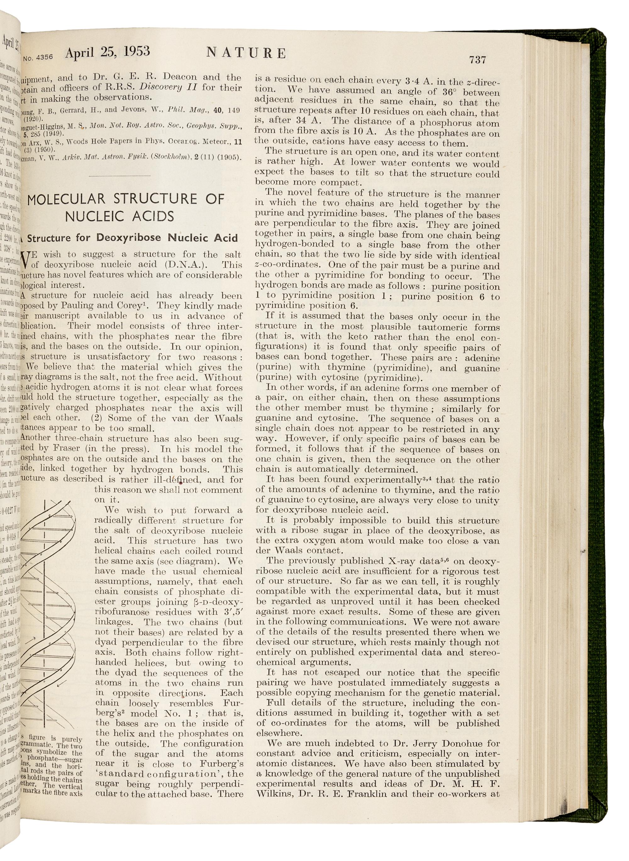 WATSON, James Dewey (b. 1928) and Francis Harry Compton CRICK (1916-2004). “Molecular structure of nucleic acids.” In: Nature , Vol. 171, No. 4356, pp. 737-741. London: Fisher, Knight & Co. Ltd., for Macmillan & Co., Limited, April 25, 1953. -- WATSON and CRICK. "Genetical implications of the structure of deoxyribonucleic acid." In: Nature , Vol. 171, no. 4361, pp. 964-967. London: Fisher, Knight & Co., Ltd., for Macmillan & Co., Limited, May 30, 1953.