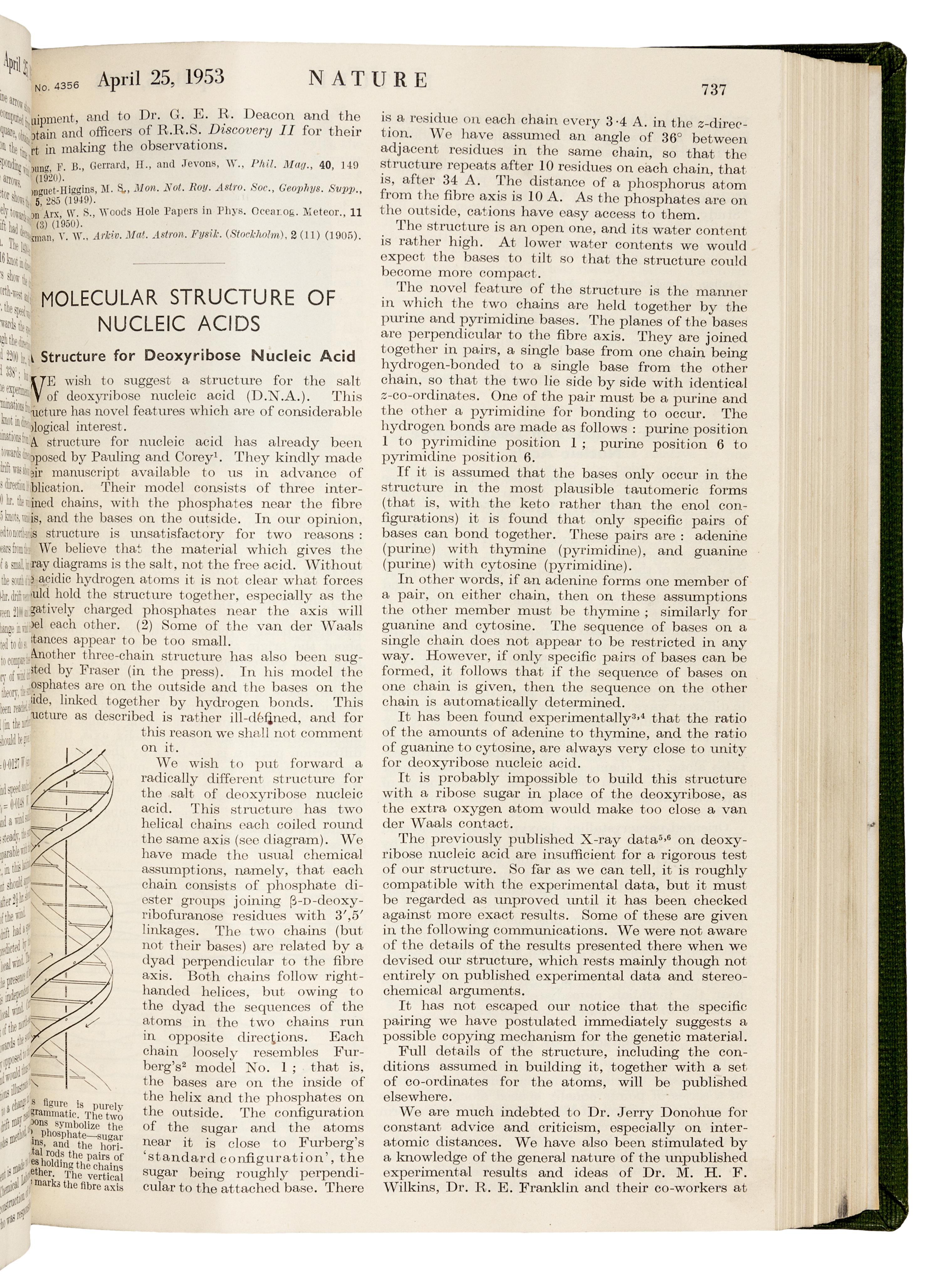 WATSON, James Dewey (b. 1928) and Francis Harry Compton CRICK (1916-2004). “Molecular structure of nucleic acids.” In: Nature , Vol. 171, No. 4356, pp. 737-741. London: Fisher, Knight & Co. Ltd., for Macmillan & Co., Limited, April 25, 1953. -- WATSON and CRICK. "Genetical implications of the structure of deoxyribonucleic acid." In: Nature , Vol. 171, no. 4361, pp. 964-967. London: Fisher, Knight & Co., Ltd., for Macmillan & Co., Limited, May 30, 1953.