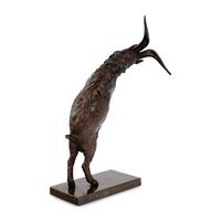 Mountain Goat