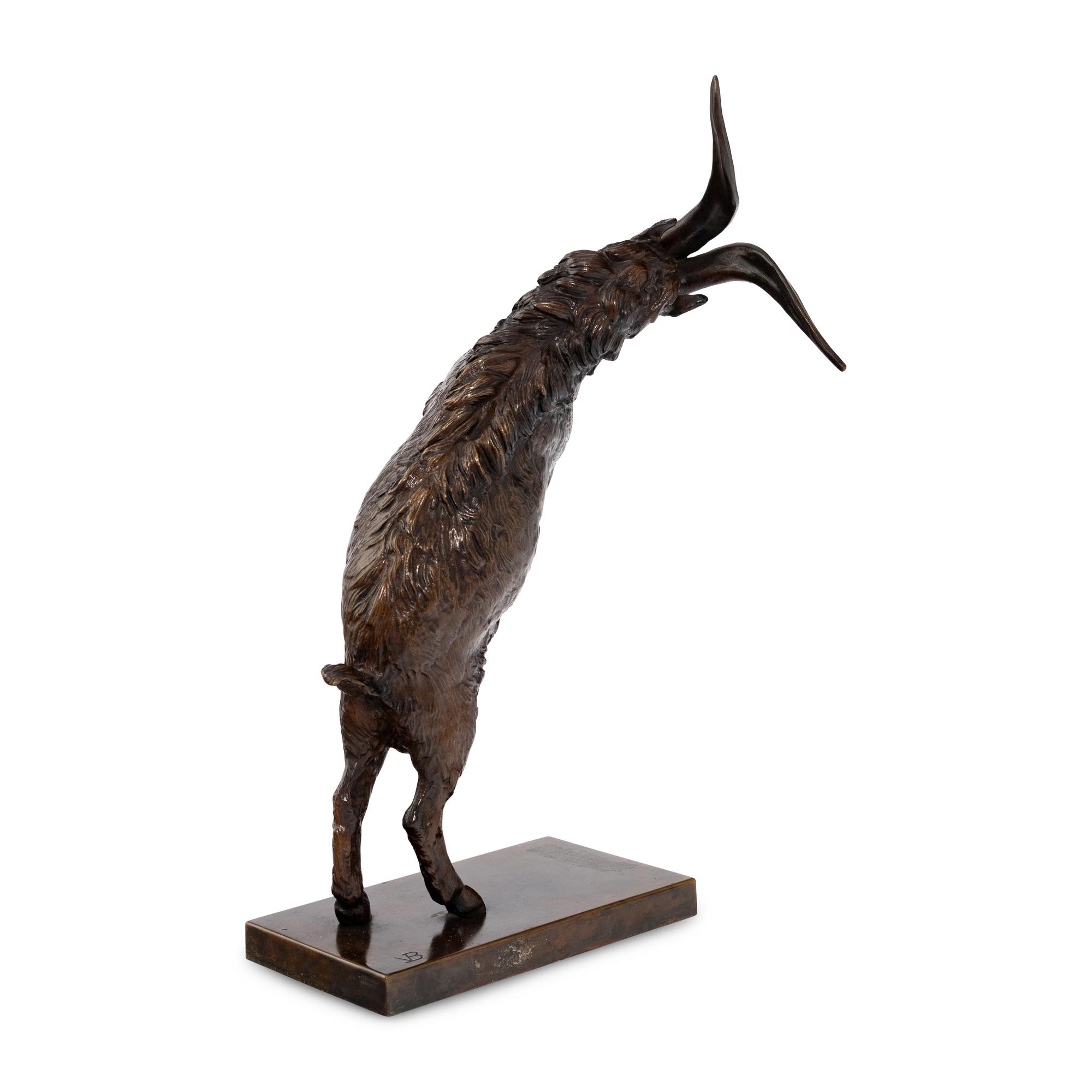 Mountain Goat