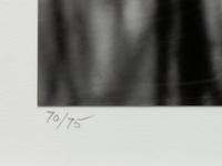 Reflection Stream, Redding , 1968 (printed later)