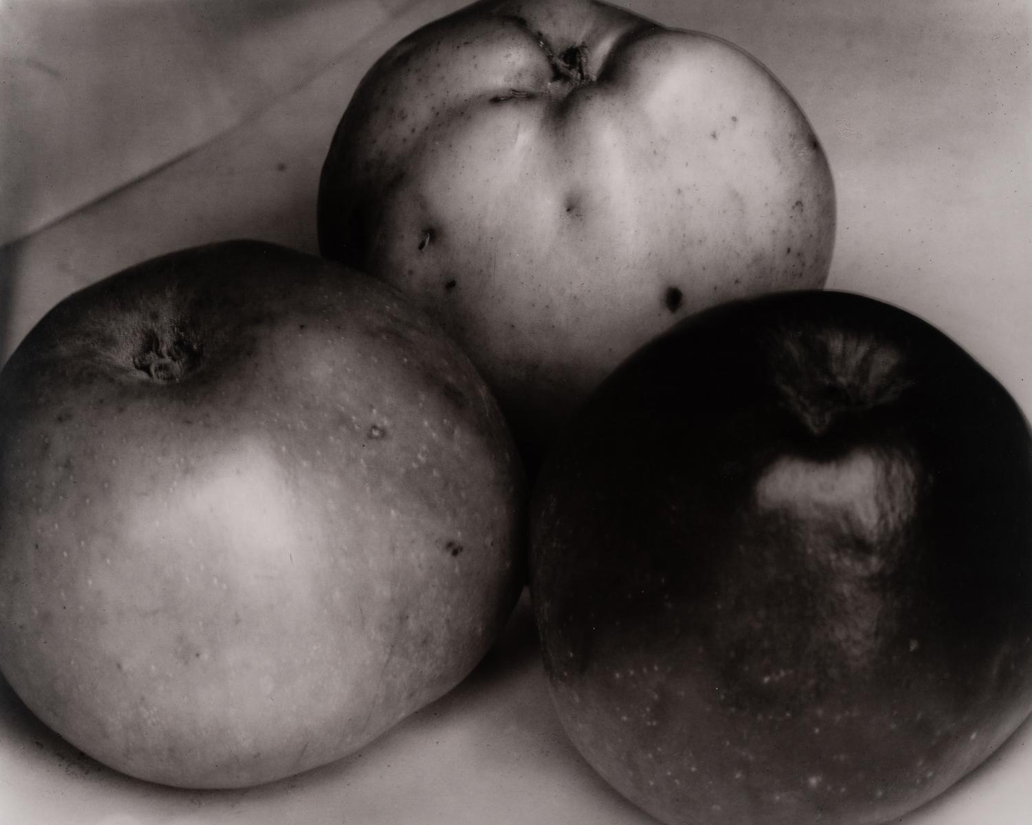 A group of twenty-one photographs (from Twenty-five Photographs printed by George Tice with labels signed by George Tice and Joanna Steichen)
