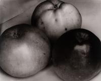 A group of twenty-one photographs (from Twenty-five Photographs printed by George Tice with labels signed by George Tice and Joanna Steichen)