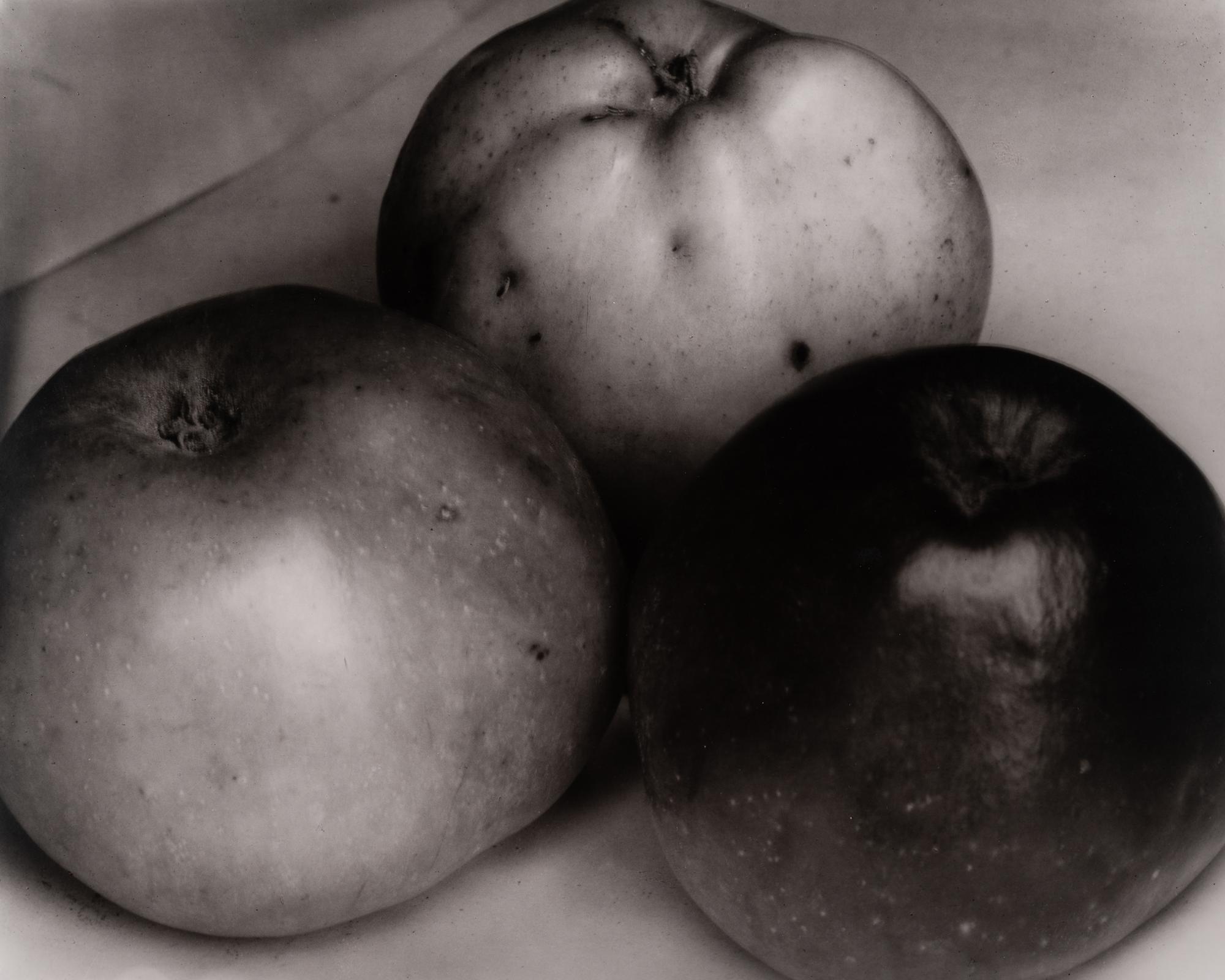 A group of twenty-one photographs (from Twenty-five Photographs printed by George Tice with labels signed by George Tice and Joanna Steichen)