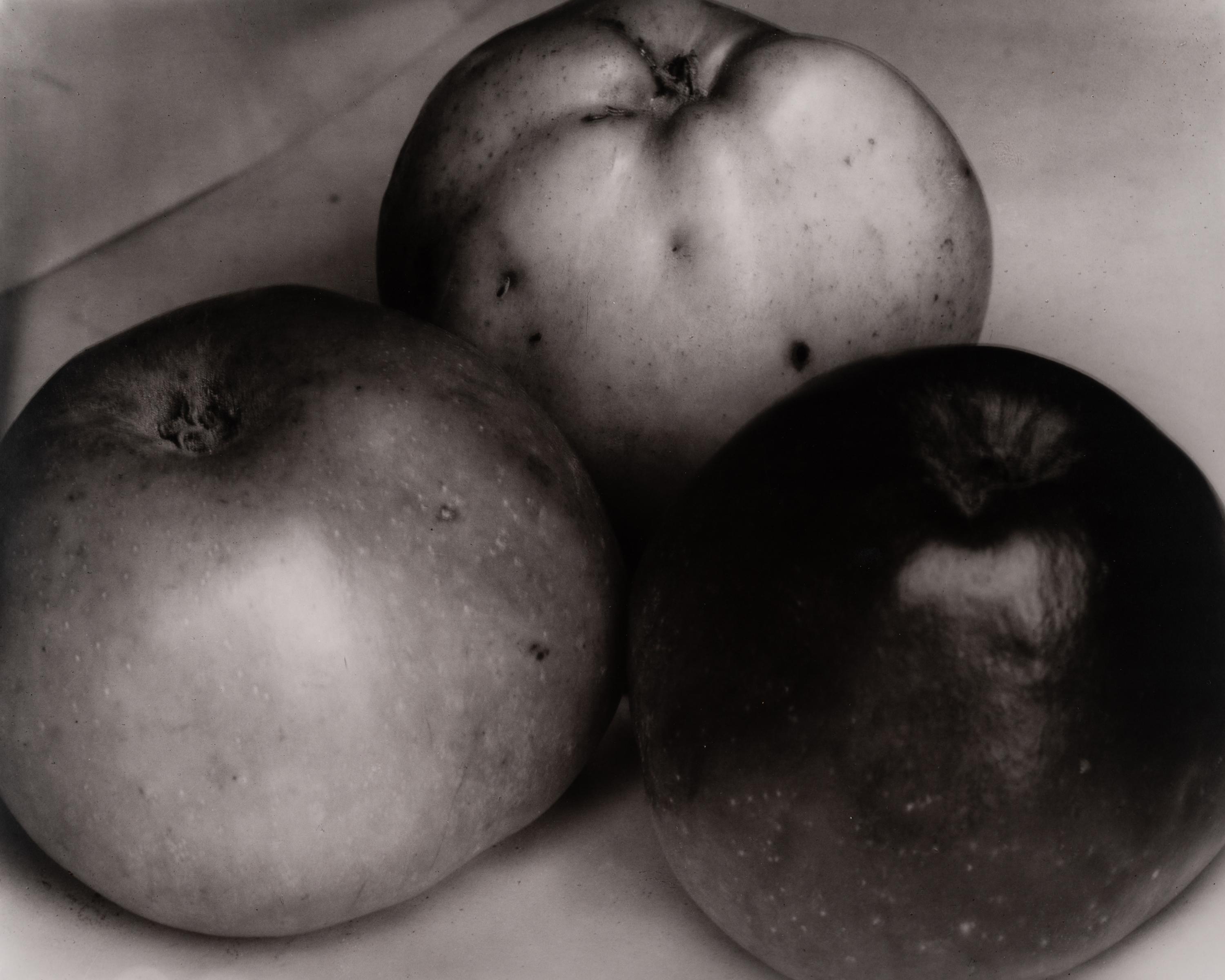 A group of twenty-one photographs (from Twenty-five Photographs printed by George Tice with labels signed by George Tice and Joanna Steichen)