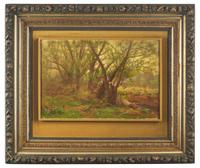Wooded Landscape