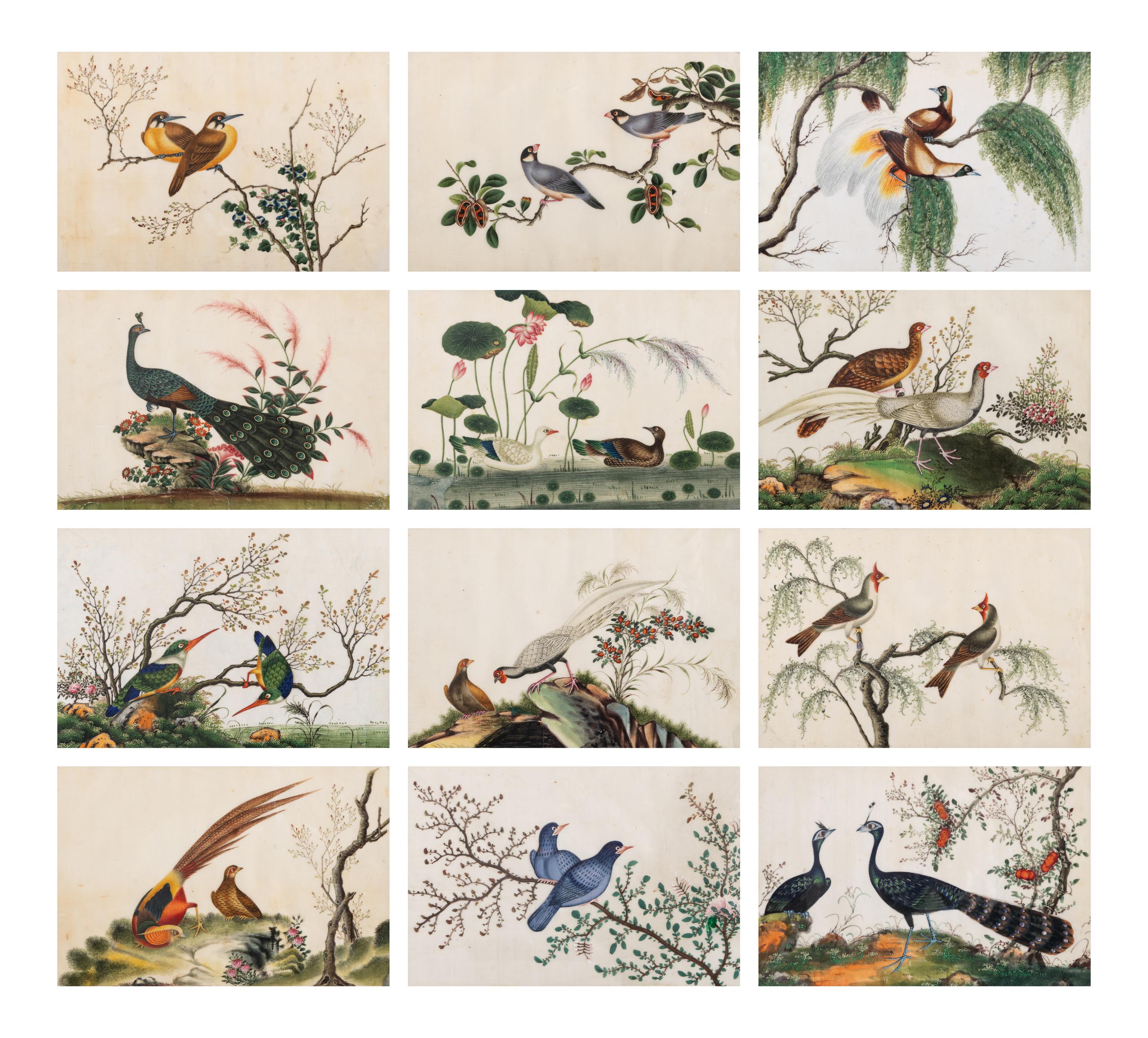 A Set of Twelve Chinese Export Watercolor and Pith Paintings