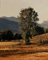 Autumn Meadows