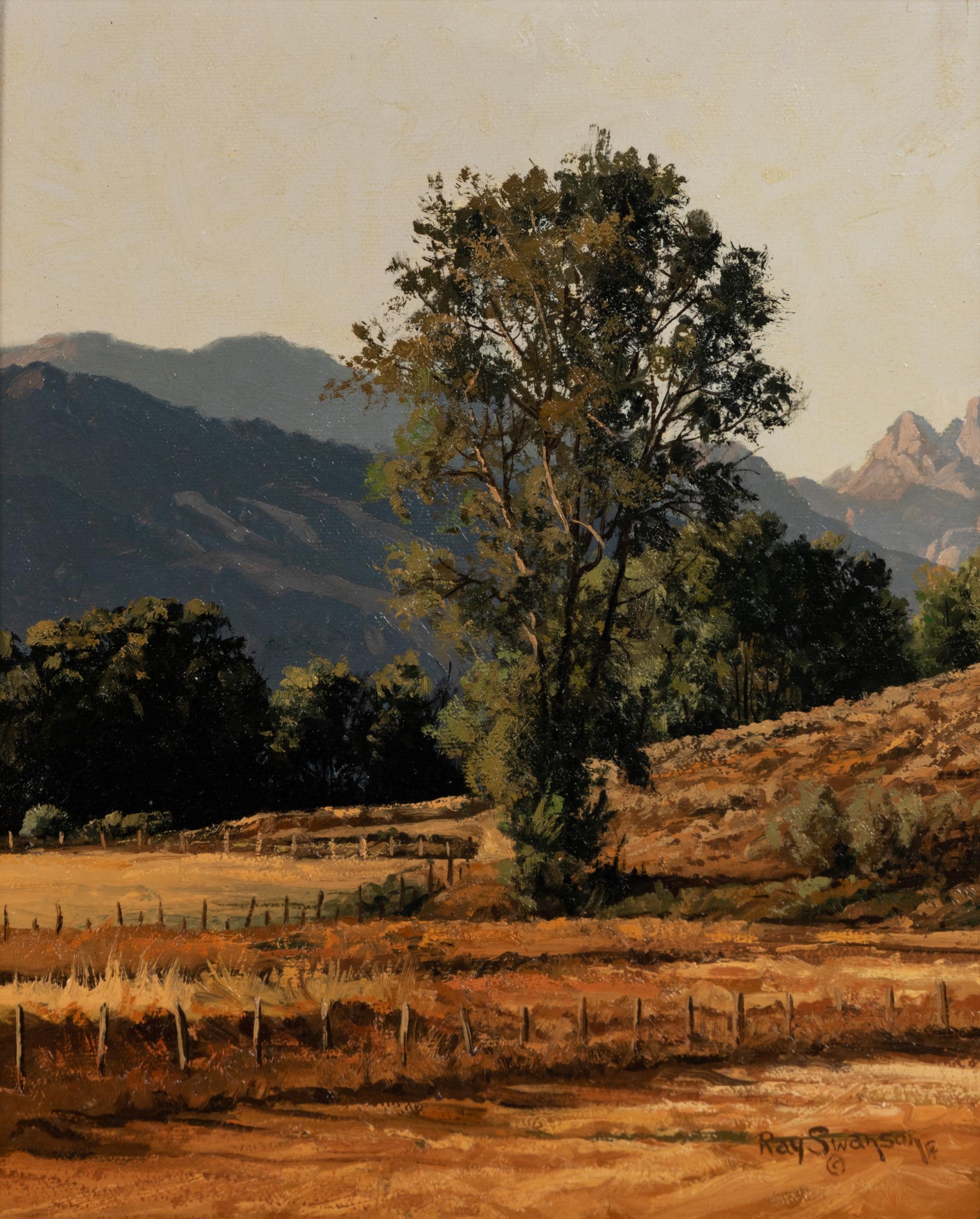 Autumn Meadows