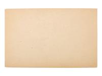 Fairs & Expositions TIFFANY, Louis C. (1848-1933), photographer. Premium Squashes - Fair 1886 S.B. [Sea Bright, NJ], [1886].
