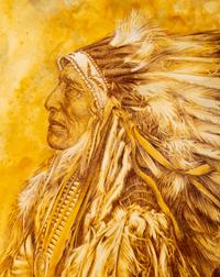 Many Feathers
