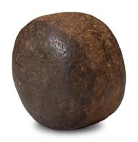Chokecherry Stone Pounder